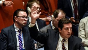 "Сафронков сказал ровно то, что требовалось в этой ситуации...." (МИД ответил Западу на критику в адрес Сафронкова)