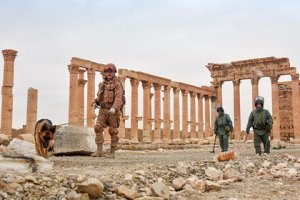 Россия и Сирия снимут первый совместный фильм «Пальмира»