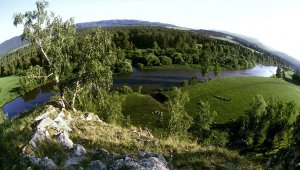 Общественный совет Минприроды РФ составил экологический рейтинг регионов России