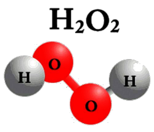 СМИ: ученые из Сингапура считают, что нашли причину рецидива онкологических заболеваний