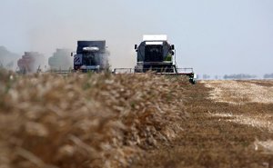 Компания семьи министра Ткачева вошла в топ-5 землевладельцев России