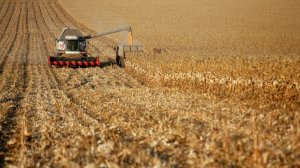 [Не было счастья, да несчастье помогло] Les Échos: Продуктовое эмбарго, введенное Москвой в ответ на западные санкции в 2014 году, вывело Россию в сельскохозяйственные сверхдержавы