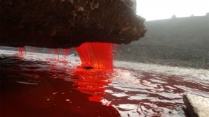 Раскрыта тайна Кровавого водопада в Антарктиде