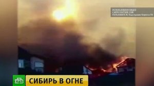 Установлен виновник пожара, уничтожившего поселок в Иркутской области