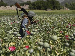США потратили $ 8,5 млрд впустую: Афганистан — крупнейший продуцент опиума