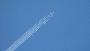 Российские пилоты жалуются в международную организацию на Росавиацию