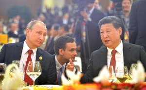 Сибирь вырубают по заказу Китая