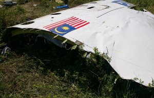 СМИ: голландские родственники жертв крушения MH17 могут подать в суд на Украину