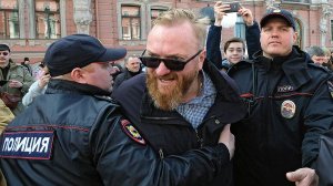 «Открытая Россия» предлагает запретить Милонову высказываться в Госдуме