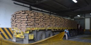 Мадуро: Венесуэла будет импортировать 60 тыс. тонн пшеницы из России в месяц