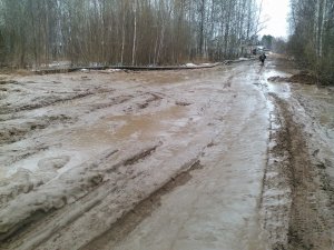 Почти 3000 жителей Кировской области пожаловались ОНФ на «убитые» дороги