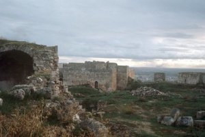 В Алеппо открылся первый с 2012 года туристический сезон