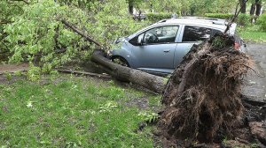 Два человека погибли из-за урагана в Москве