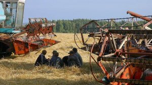 Анкара отменила ограничения на ввоз российских продуктов