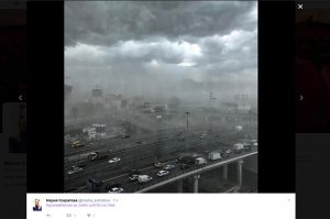 Московский ураган за час убил 11 человек  (Падавшие деревья калечили москвичей и перекрывали дороги)