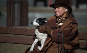 Противоречивая пенсионная реформа в России