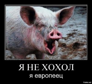 Власти Львова сочли город местом чрезвычайной экологической ситуации