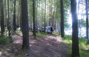 На Урале найден живым четырехлетний ребенок, пропавший в лесу 10 июня