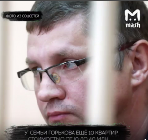 Семья топ-менеджера &quot;Роснано&quot; оказалась обладателем 32 квартир, домов и зданий