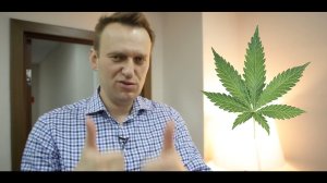 Навальный, статья 228 и «декриминализация» марихуаны