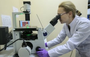 Сибирские биотехнологи разработали препарат с бактериями, предотвращающими засоры в стоках