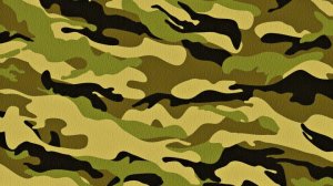 США потратили $94 млн на не подходящий афганским полицейским "лесной" камуфляж