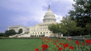 США хотят легализовать через ООН вторжения в третьи страны