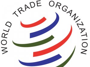 Россия инициировала рассмотрение в ВТО вопроса о торговой политике США