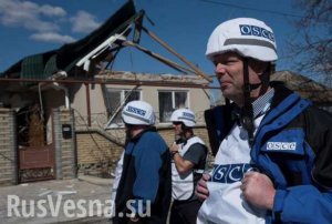 СММ ОБСЕ обвинила украинский штаб силовой операции в распространении дезинформации