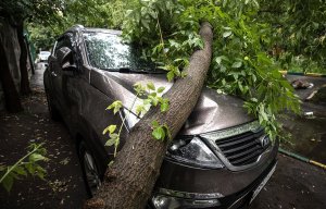 В Москве и Московской области жертвами ливня стали два человека, еще 19 пострадали