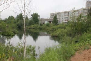 Кировские эксперты ОНФ взяли на контроль решение проблемы с подтоплениями в микрорайоне Озерки