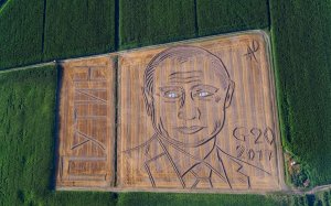 Итальянский ландшафтный дизайнер к саммиту G20 "нарисовал" в поле гигантский портрет Путина (ФОТО)