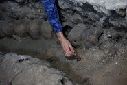 В Мехико обнаружили легендарную ацтекскую башню из сотен черепов