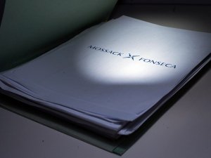 Полиция Германии ради расследования купила "Панамское досье" за 5 млн евро