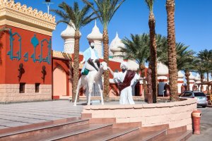 Соцсети: «Женская сборная СССР» обезвредила террориста в Египте