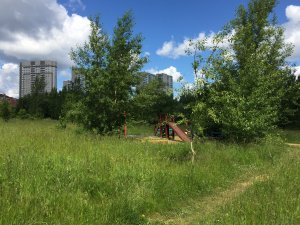 В ОНФ убеждены, что природно-исторический парк «Москворецкий» нужно сохранить в составе «зеленого щита» столицы
