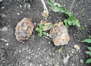 Жители Пятигорска хотят скинуться саперам на такси из-за двух найденных гранат