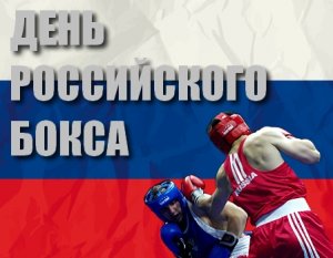 Шоу на Красной площади: в Москве впервые отпразднуют День российского бокса