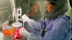ВВС США хотят закупить образцы живых тканей россиян