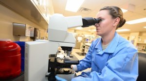 ВВС США разместили тендер на покупку тканей россиян