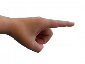 Глава Минприроды заменил директора Сочинского нацпарка на племянницу Рогозина