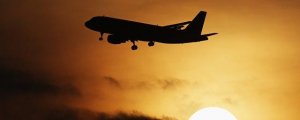 В Индии вылет авиалайнера задержали из-за атаки роя пчёл