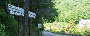 Минприроды РФ объяснило смену директора в нацпарке Сочи
