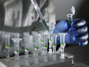 Ученые впервые успешно отредактировали геном человеческого эмбриона