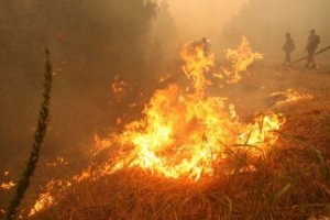 На Ставрополье ожидают крупных пожаров из-за сильной жары