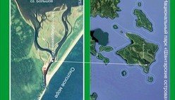 Огромный гренландский кит застрял в устье реки на острове Большой Шантар в Хабаровском крае