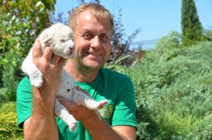 В Крыму родились львята: Царь, Режиссер, Няша и Матильда