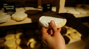 CBC: российские сыровары просят у Запада ещё 10 лет санкций