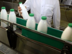Россельхознадзор снял запрет на поставки в РФ продукции трех белорусских молочных предприятий