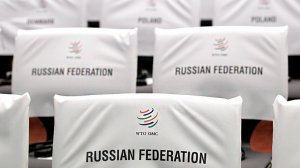 Что принесли России пять лет членства в ВТО [Мы ещё не ощутили всех преимуществ]